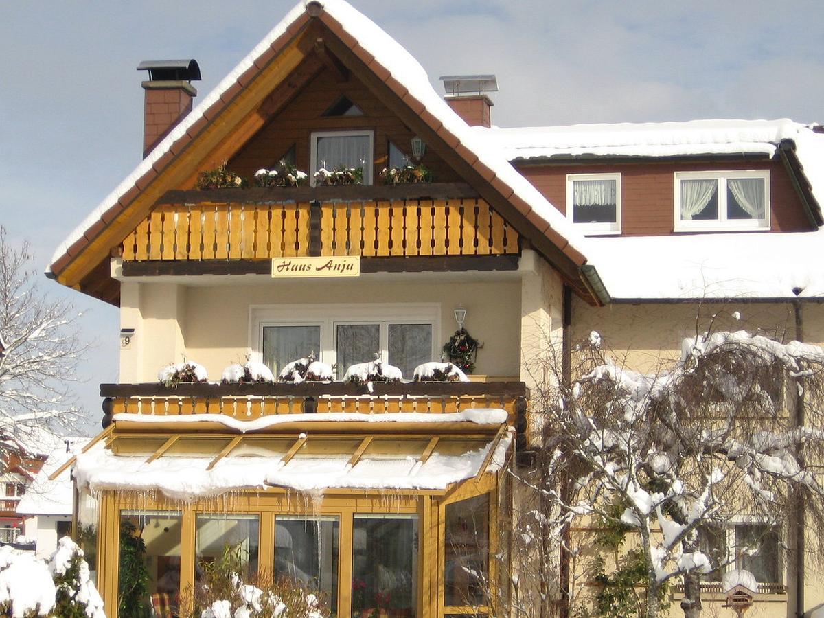 Haus Anja Appartement Titisee-Neustadt Buitenkant foto